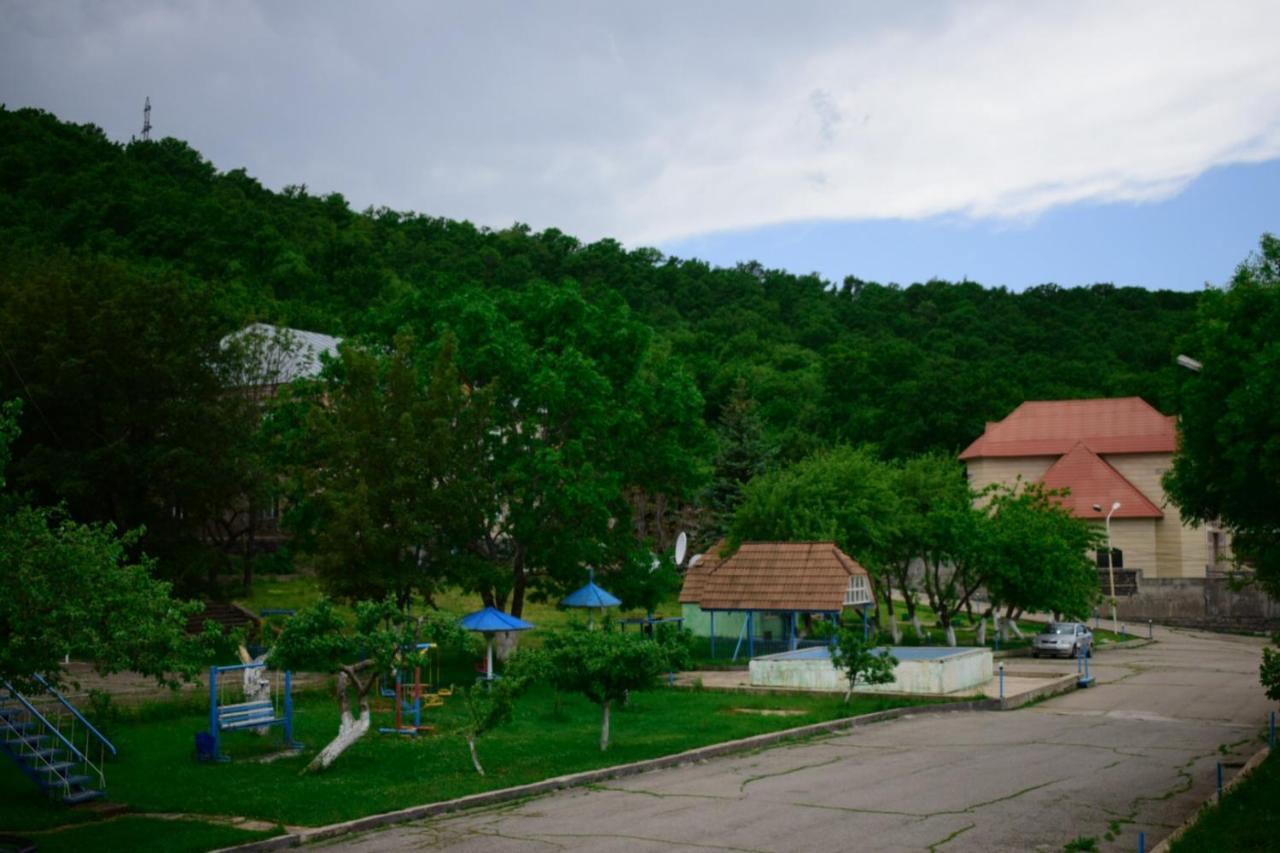 Aliq Hotel Цахкадзор Екстериор снимка